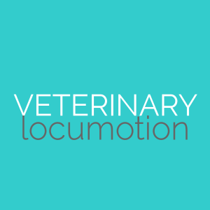 Locum DVM, Locum RVN, Locum Vet, Locum Vet Nurse, Locum Veterinarian, Locum Veterinary Nurse, Locum Veterinary Surgeon, Locum Veterinary Technician, Relief DVM, Relief Vet, Relief Vet Tech, Relief Veterinarian, Relief Veterinary Technician