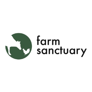 Veterinary Jobs - Vet Jobs - Veterinarian Jobs - DVM Jobs - Veterinary Surgeon Jobs - Veterinary Nurse Jobs - Vet Nurse Jobs - Veterinary Technician Jobs - Vet Tech Jobs - Veterinary Medicine Jobs - Veterinary Surgery Jobs - Vet Life