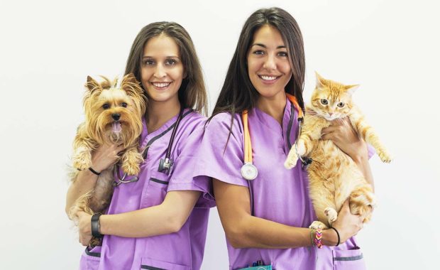 Veterinary Jobs - Veterinarian Jobs - Vet Jobs - Veterinary Technician Jobs - Vet Tech Jobs - Veterinary Nurse Jobs - Vet Nurse Jobs